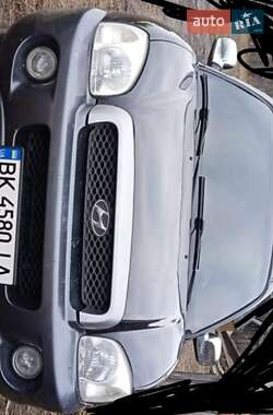 Внедорожник / Кроссовер Hyundai Santa FE 2003 в Сарнах