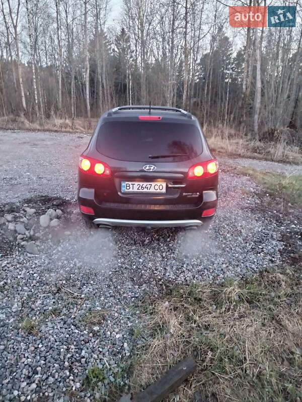 Позашляховик / Кросовер Hyundai Santa FE 2006 в Херсоні