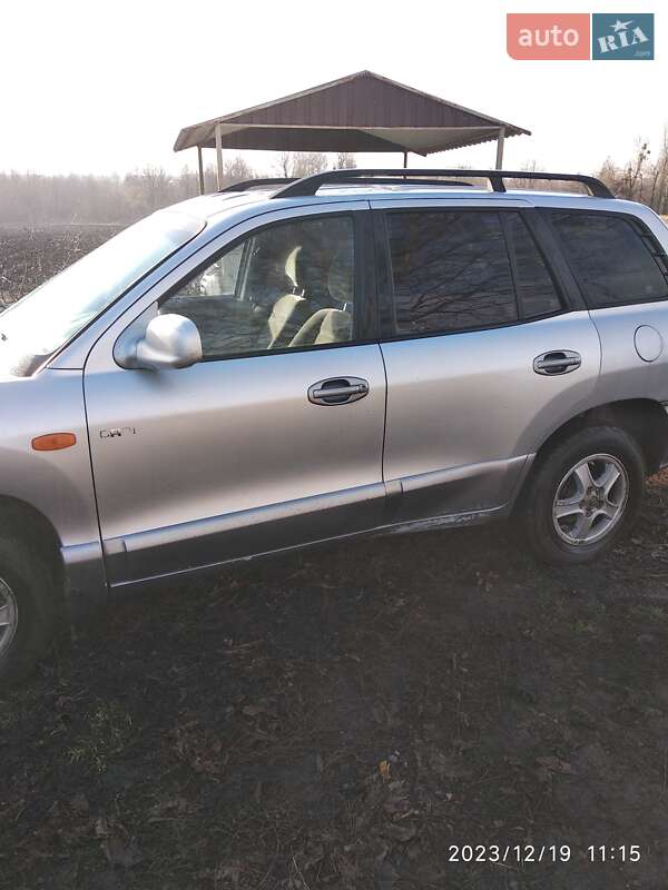 Внедорожник / Кроссовер Hyundai Santa FE 2002 в Тростянце