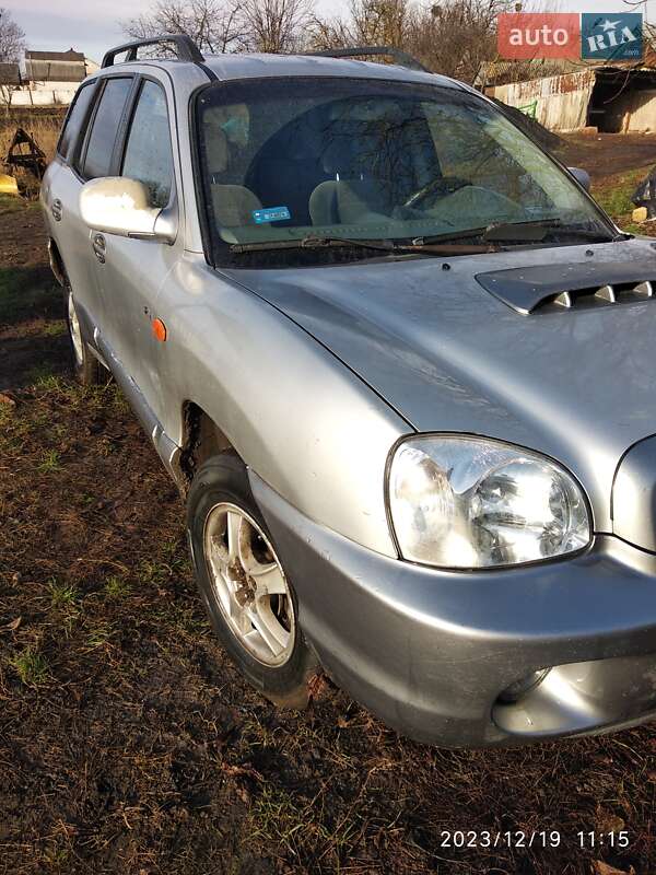 Внедорожник / Кроссовер Hyundai Santa FE 2002 в Тростянце