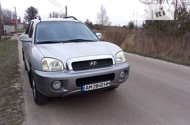 Внедорожник / Кроссовер Hyundai Santa FE 2004 в Житомире