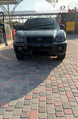 Внедорожник / Кроссовер Hyundai Santa FE 2004 в Днепре