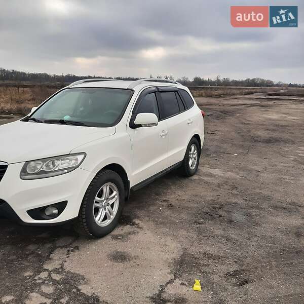 Внедорожник / Кроссовер Hyundai Santa FE 2009 в Шепетовке