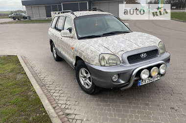 Внедорожник / Кроссовер Hyundai Santa FE 2003 в Хмельницком