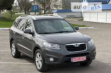 Внедорожник / Кроссовер Hyundai Santa FE 2010 в Радивилове