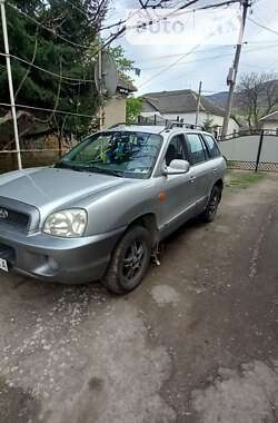 Позашляховик / Кросовер Hyundai Santa FE 2003 в Перечині