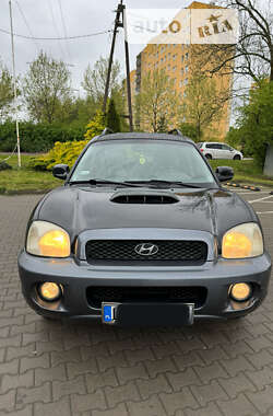 Внедорожник / Кроссовер Hyundai Santa FE 2003 в Львове