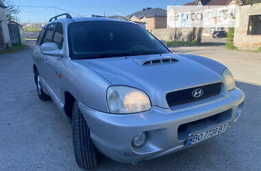Позашляховик / Кросовер Hyundai Santa FE 2002 в Збаражі