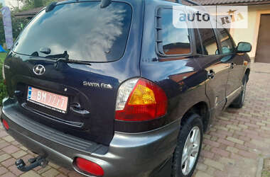 Внедорожник / Кроссовер Hyundai Santa FE 2004 в Луцке