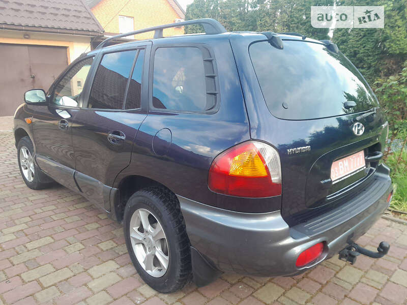 Внедорожник / Кроссовер Hyundai Santa FE 2004 в Луцке