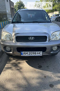Позашляховик / Кросовер Hyundai Santa FE 2004 в Житомирі