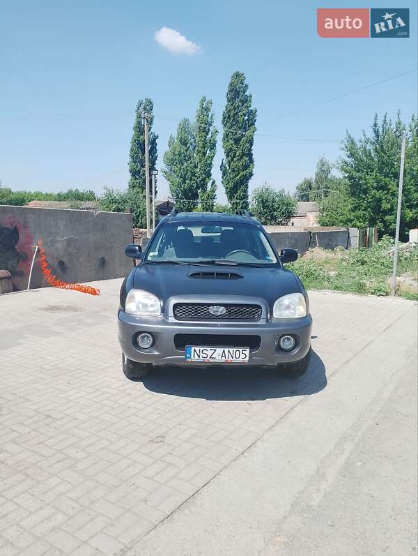 Внедорожник / Кроссовер Hyundai Santa FE 2003 в Днепре