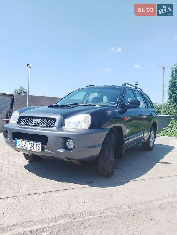 Внедорожник / Кроссовер Hyundai Santa FE 2003 в Днепре