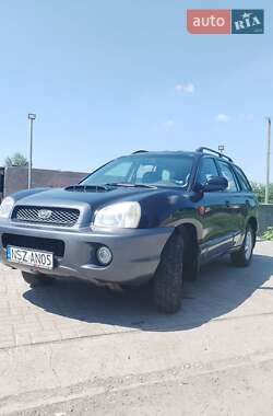 Внедорожник / Кроссовер Hyundai Santa FE 2003 в Днепре