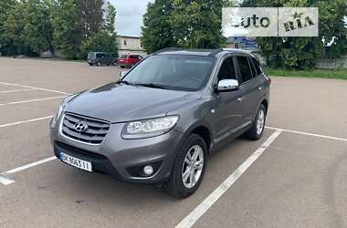 Внедорожник / Кроссовер Hyundai Santa FE 2010 в Ровно