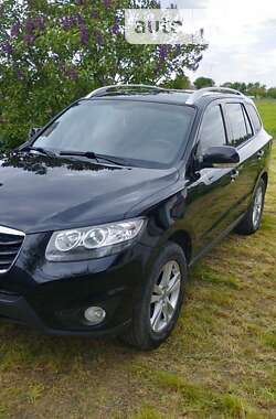 Внедорожник / Кроссовер Hyundai Santa FE 2011 в Черкассах