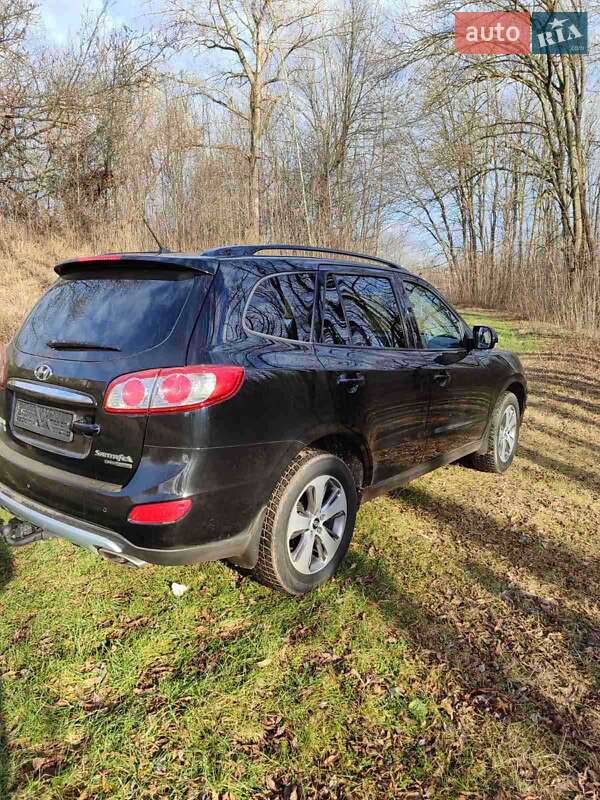 Позашляховик / Кросовер Hyundai Santa FE 2011 в Кельменцях