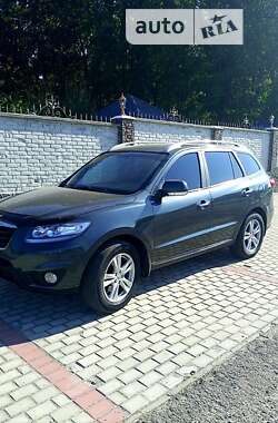 Внедорожник / Кроссовер Hyundai Santa FE 2011 в Житомире