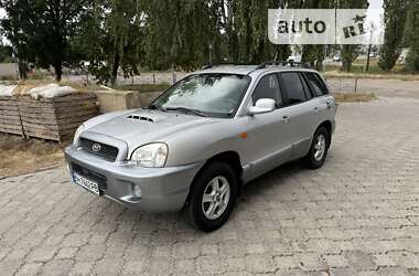 Внедорожник / Кроссовер Hyundai Santa FE 2002 в Николаеве