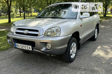 Внедорожник / Кроссовер Hyundai Santa FE 2005 в Хмельницком