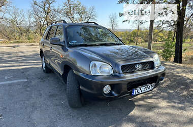 Позашляховик / Кросовер Hyundai Santa FE 2003 в Дружківці