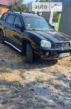 Позашляховик / Кросовер Hyundai Santa FE 2003 в Сквирі