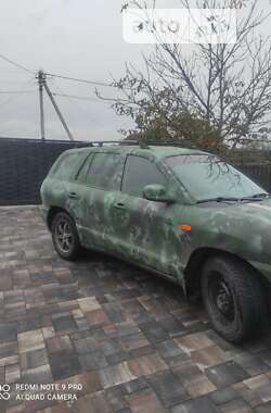 Внедорожник / Кроссовер Hyundai Santa FE 2002 в Маневичах