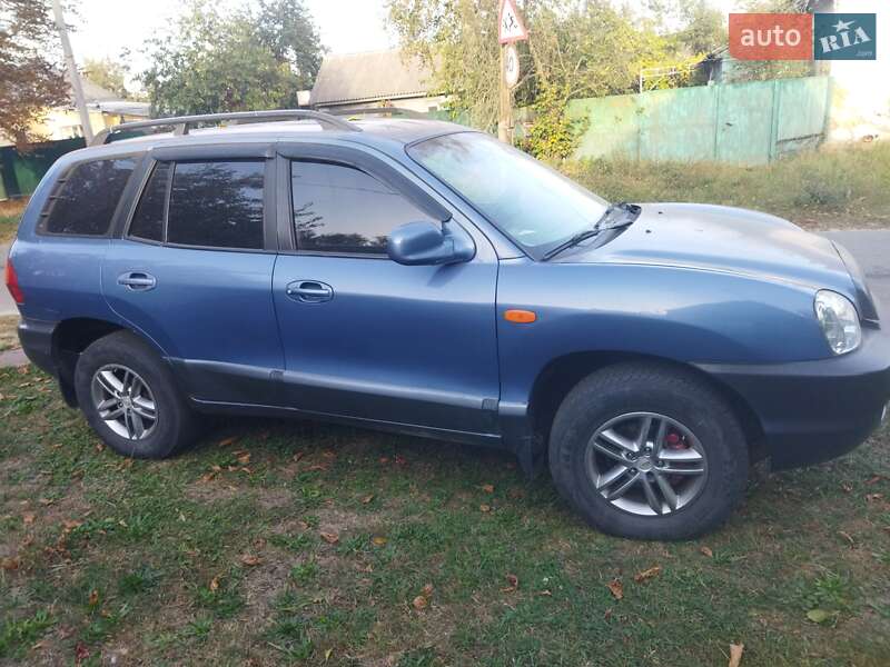 Внедорожник / Кроссовер Hyundai Santa FE 2002 в Городне