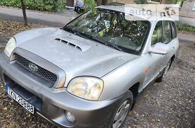 Внедорожник / Кроссовер Hyundai Santa FE 2002 в Нежине