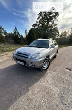 Позашляховик / Кросовер Hyundai Santa FE 2005 в Лугинах