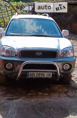 Внедорожник / Кроссовер Hyundai Santa FE 2002 в Ямполе