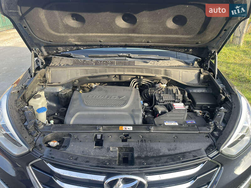 Позашляховик / Кросовер Hyundai Santa FE 2013 в Звягелі фото 20 Позашляховик / Кросовер Hyundai Santa FE 2013 в Звягелі
