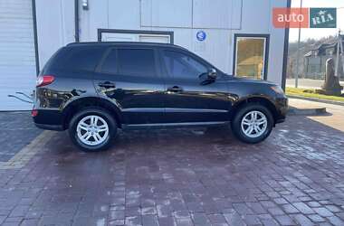 Позашляховик / Кросовер Hyundai Santa FE 2010 в Тернополі