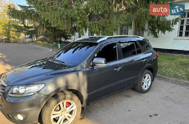 Позашляховик / Кросовер Hyundai Santa FE 2010 в Корсунь-Шевченківському