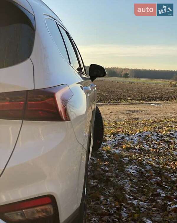 Внедорожник / Кроссовер Hyundai Santa FE 2019 в Киеве