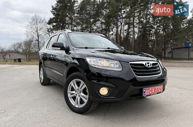 Внедорожник / Кроссовер Hyundai Santa FE 2010 в Радивилове