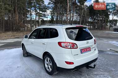 Внедорожник / Кроссовер Hyundai Santa FE 2010 в Радивилове