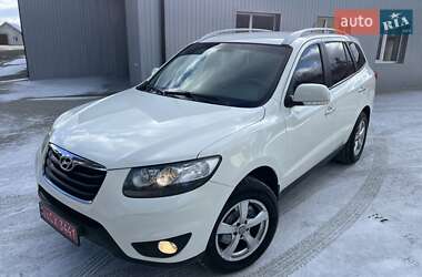 Внедорожник / Кроссовер Hyundai Santa FE 2010 в Радивилове