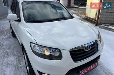 Внедорожник / Кроссовер Hyundai Santa FE 2010 в Радивилове