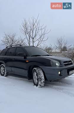 Внедорожник / Кроссовер Hyundai Santa FE 2004 в Лозовой