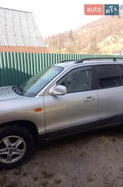 Внедорожник / Кроссовер Hyundai Santa FE 2004 в Рахове