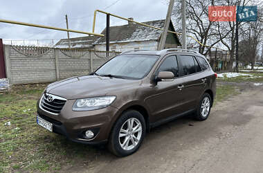 Позашляховик / Кросовер Hyundai Santa FE 2011 в 