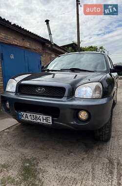 Внедорожник / Кроссовер Hyundai Santa FE 2004 в Борисполе
