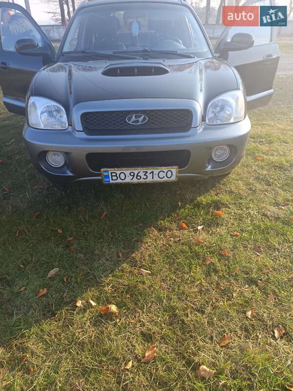 Внедорожник / Кроссовер Hyundai Santa FE 2003 в Подгайцах