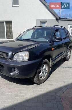 Внедорожник / Кроссовер Hyundai Santa FE 2005 в Житомире