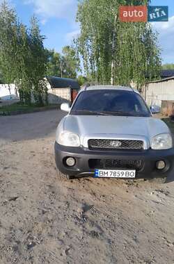 Внедорожник / Кроссовер Hyundai Santa FE 2003 в Чернигове