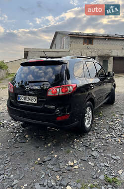 Позашляховик / Кросовер Hyundai Santa FE 2010 в 