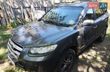 Внедорожник / Кроссовер Hyundai Santa FE 2005 в Чернигове