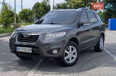Позашляховик / Кросовер Hyundai Santa FE 2010 в Коломиї