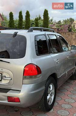 Внедорожник / Кроссовер Hyundai Santa FE 2005 в 